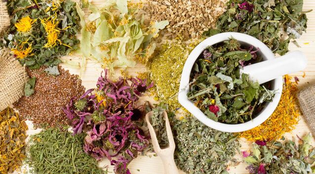 Geneeskrachtige planten die helpen in de strijd tegen diabetes